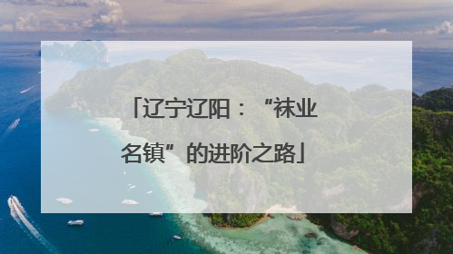 辽宁辽阳：“袜业名镇”的进阶之路